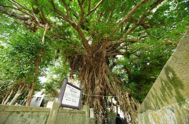 スポットの写真