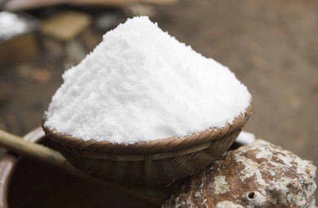 スポットの写真