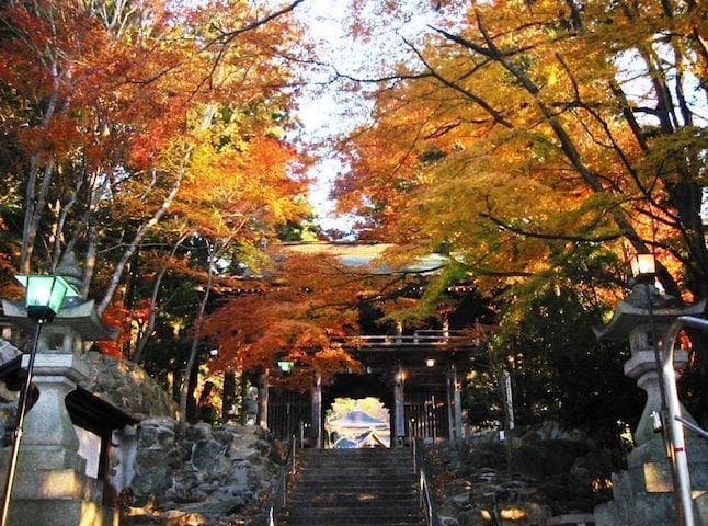 【2023年】大窪寺の紅葉