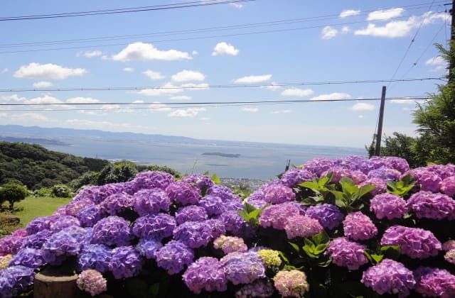 スポットの写真