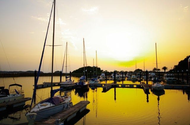 スポットの写真