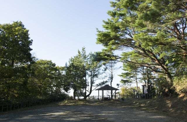 スポットの写真