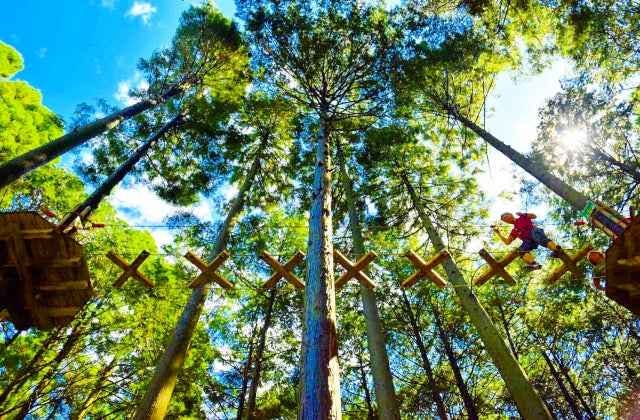 スポットの写真