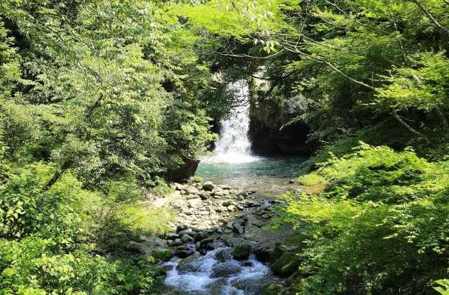 スポットの写真