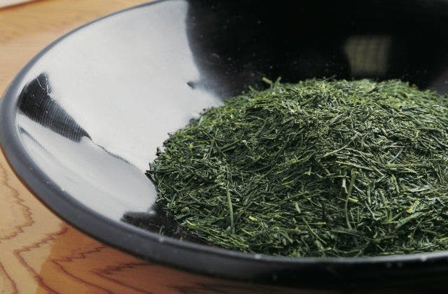 スポットの写真