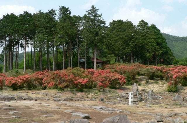 スポットの写真