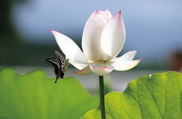 スポットの写真