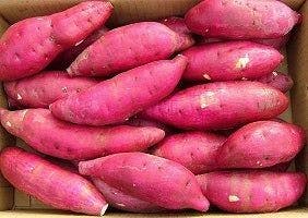 スポットの写真