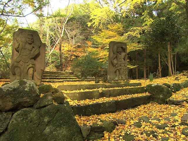 スポットの写真