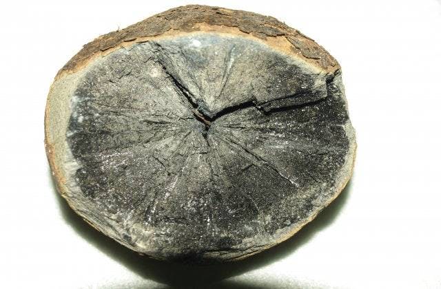 スポットの写真