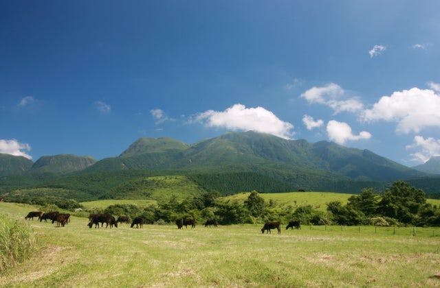 スポットの写真