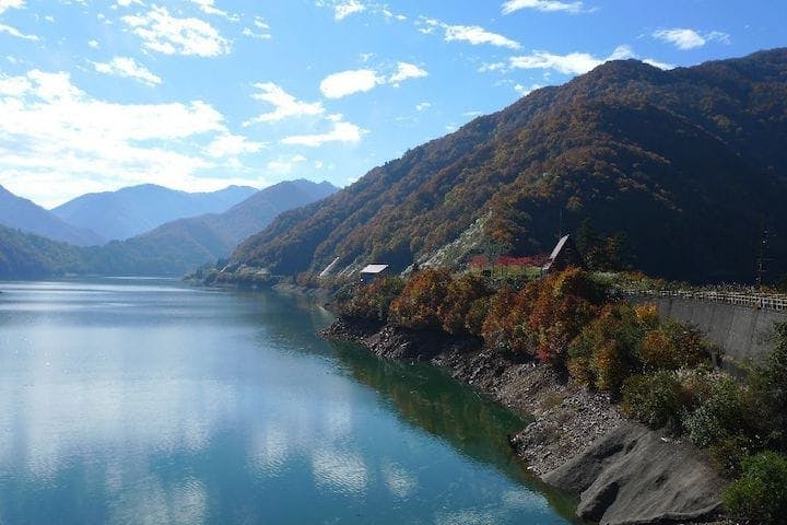【2022年】桂湖ビジターセンターの紅葉