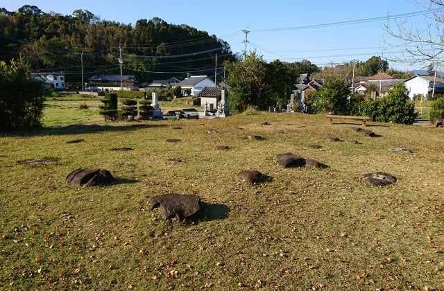 スポットの写真