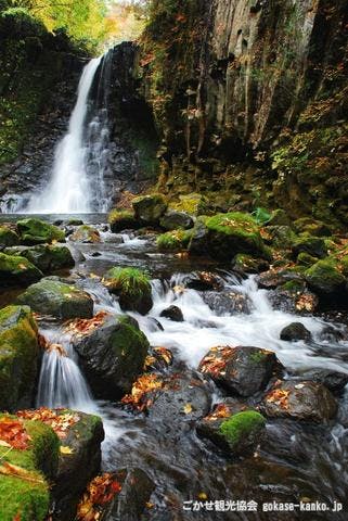 スポットの写真