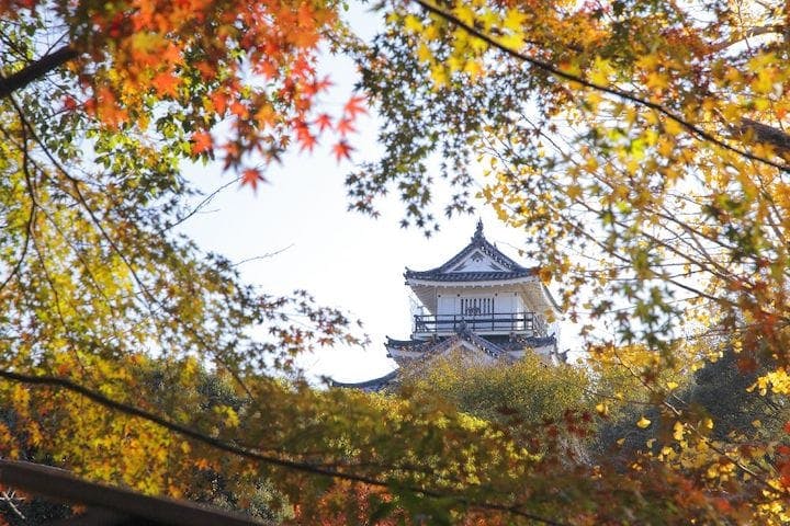 【2022年】浜松城公園の紅葉