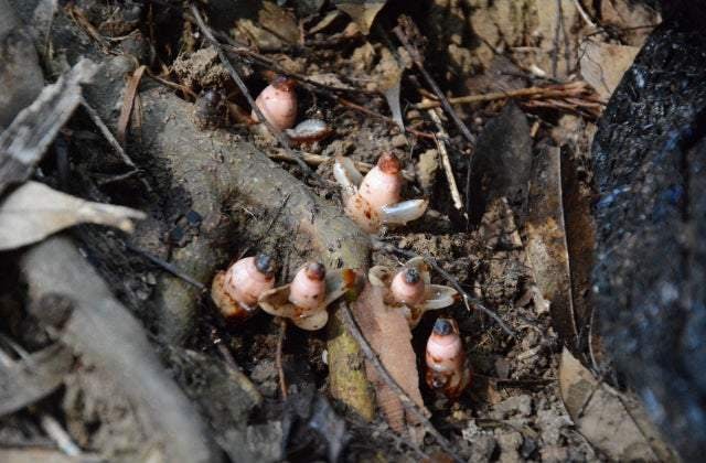 スポットの写真