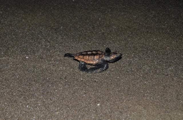 スポットの写真