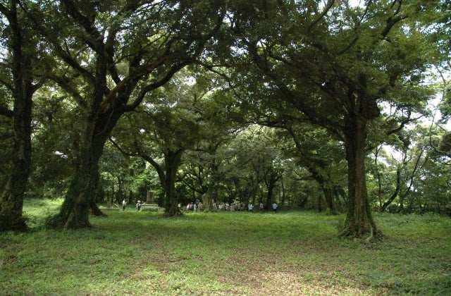 スポットの写真