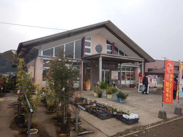 スポットの写真