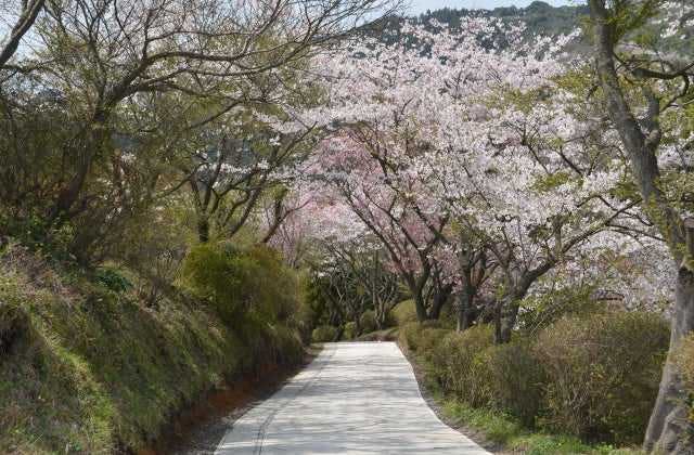 スポットの写真