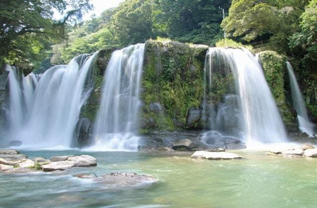 スポットの写真