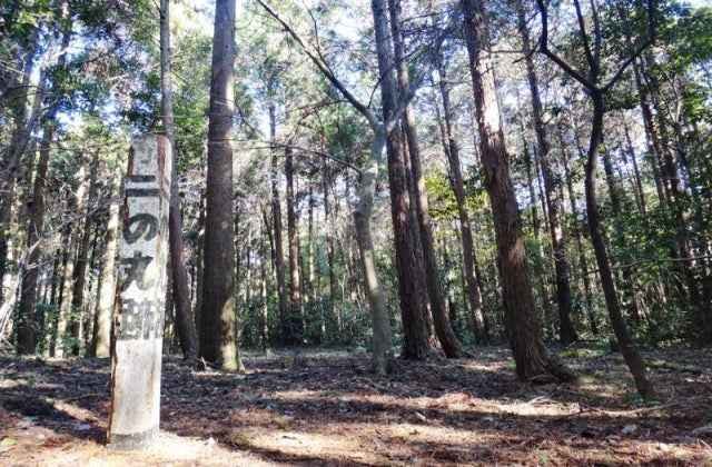 スポットの写真