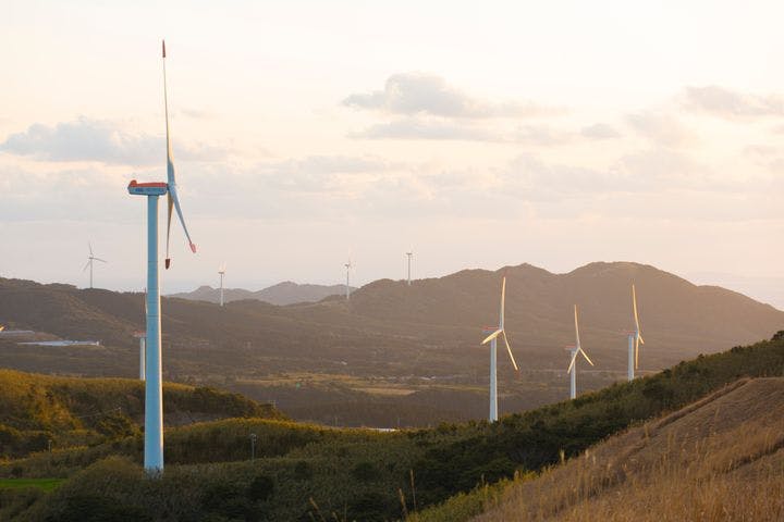 スポットの写真