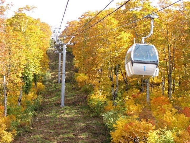 【2022年】森吉山の紅葉