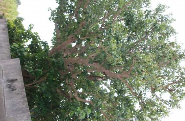 スポットの写真