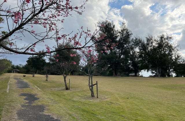 スポットの写真