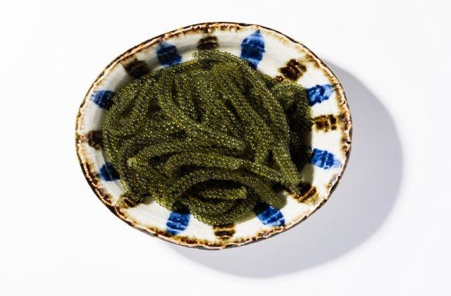 スポットの写真