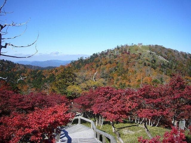 【2022年】大台ヶ原（東大台、西大台）の紅葉