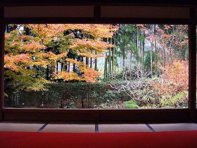 【2022年】宝泉院の紅葉