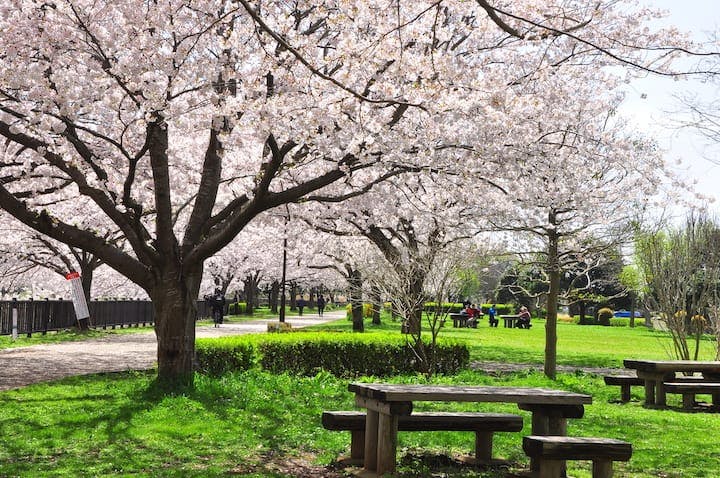 引地川親水公園