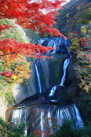 【2022年】袋田の滝の紅葉