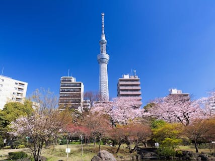 墨田区 両国 錦糸町 東京スカイツリー 公園の遊び体験 アソビュー 休日の便利でお得な遊び予約サイト