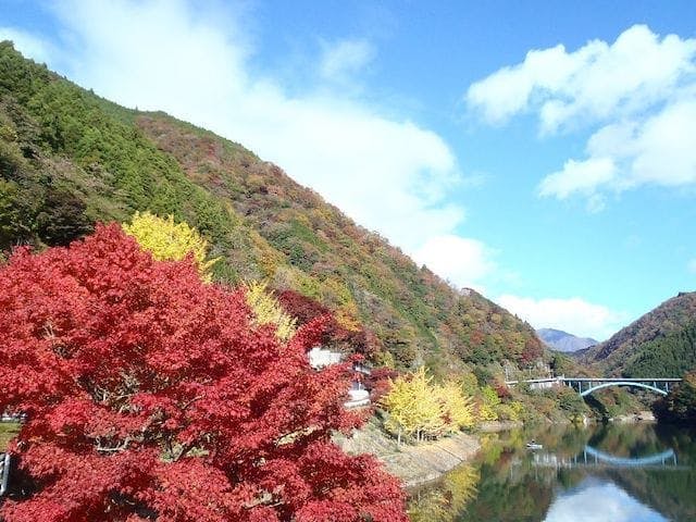 【2022年】丹沢湖・箒沢の紅葉