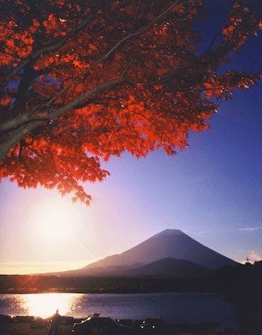 【2022年】精進湖の紅葉