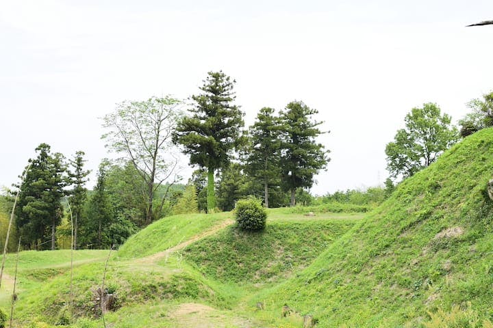 杉山城跡