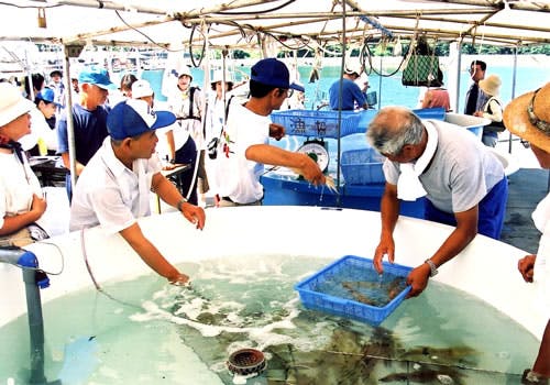 スポットの写真