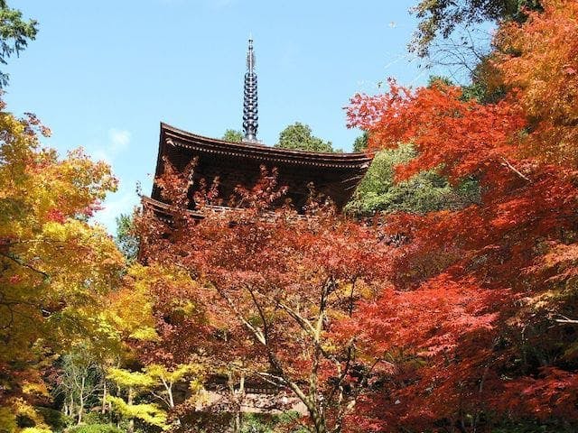 【2022年】湖東三山　金剛輪寺の紅葉
