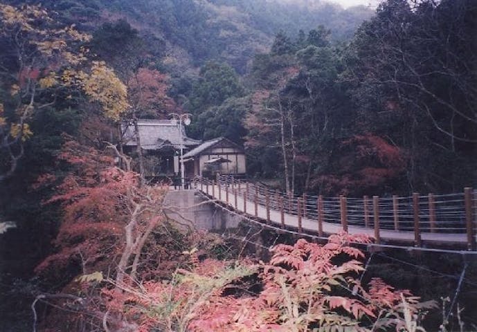 【2022年】かじか橋の紅葉