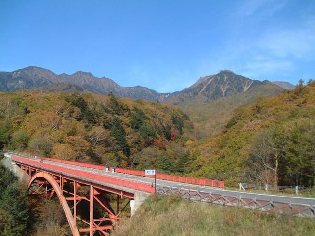 【2022年】八ヶ岳高原の紅葉