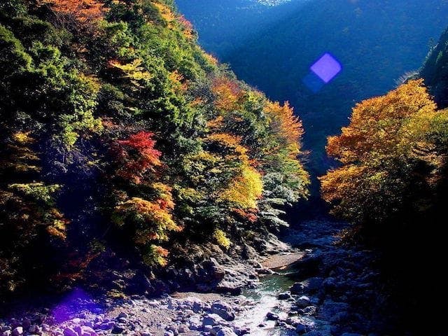 【2022年】明神峡の紅葉