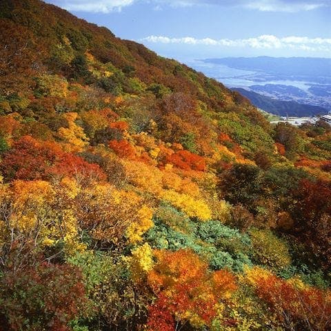 【2022年】大佐渡スカイラインの紅葉