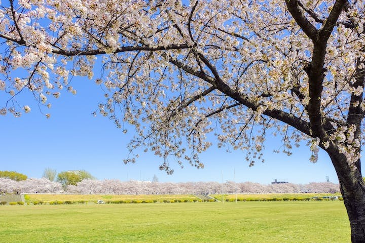 熊谷さくら運動公園