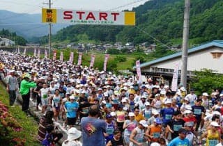 スポットの写真