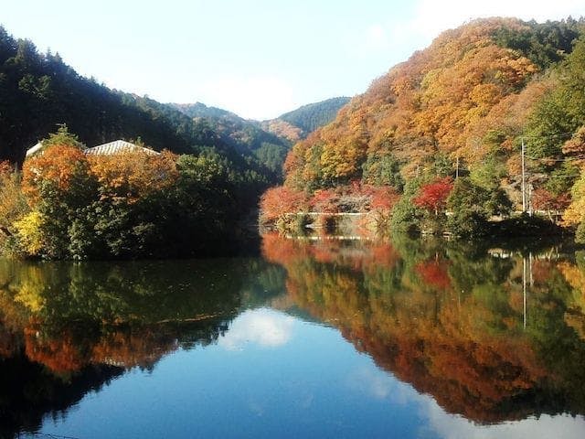 【2022年】鎌北湖の紅葉
