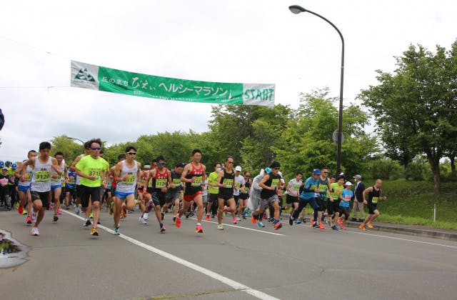 スポットの写真