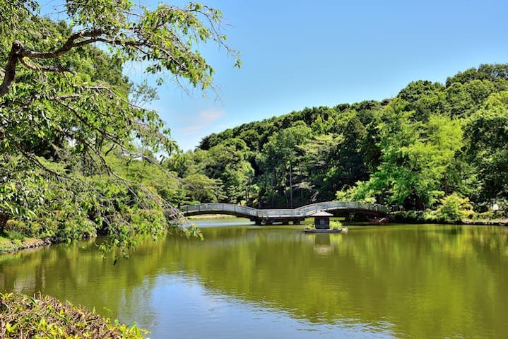 町田薬師池公園
